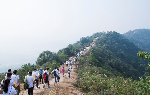 電線(xiàn)電纜生產(chǎn)廠(chǎng)家湘江電纜2015年綠行家活動(dòng)