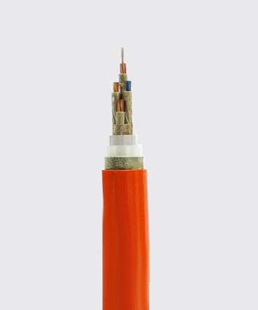 BTTYJ、BTLYJ、BTYJ柔性銅/鋁護(hù)套無機(jī)礦物絕緣防火電纜